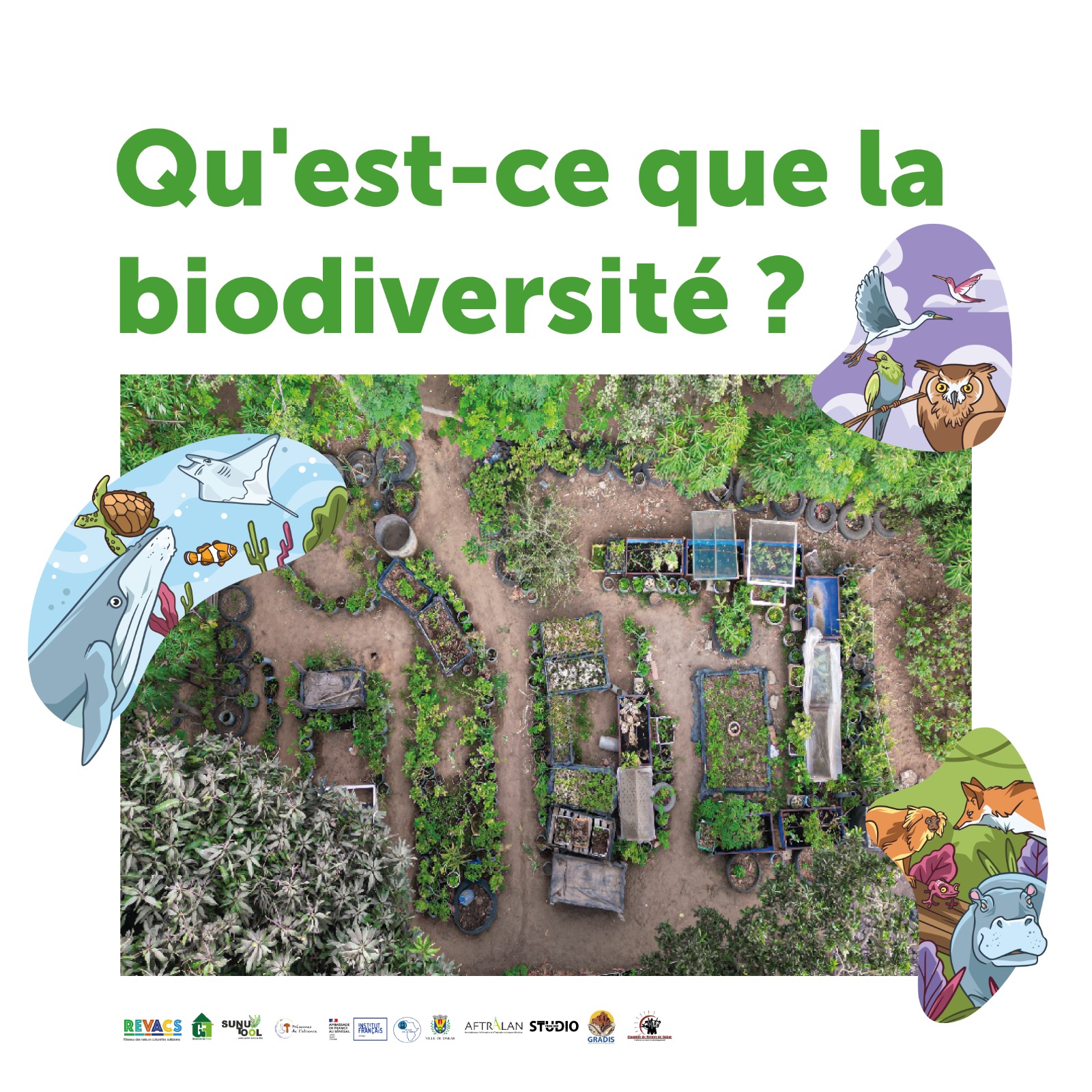 Qu’est-ce que la biodiversité ?